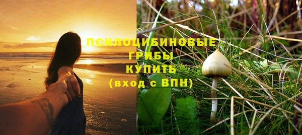 a pvp Алексеевка