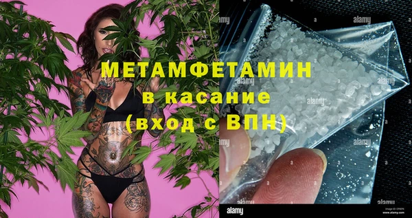 стаф Аркадак