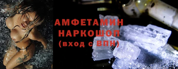 стаф Аркадак